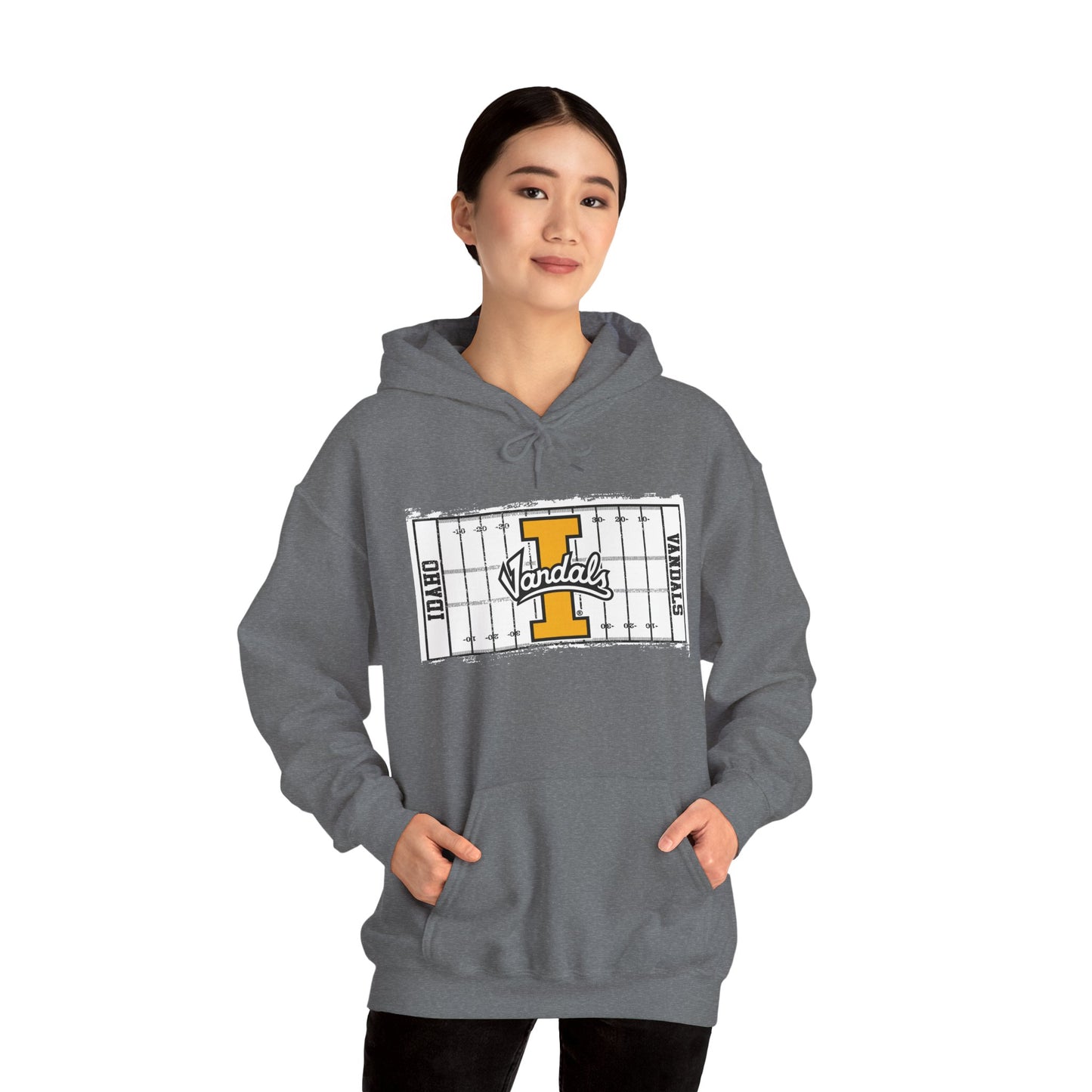 Football Field Unisex Heavy Blend™ Hooded Sweatshirt