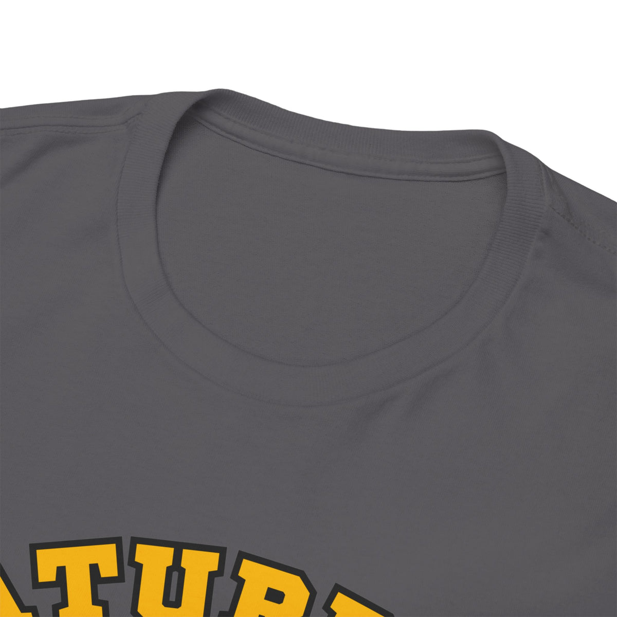 Saturday Game Day T-Shirt | University of Idaho Football Tailgate Tee 2026 | Joe Vandal Fan Shirt