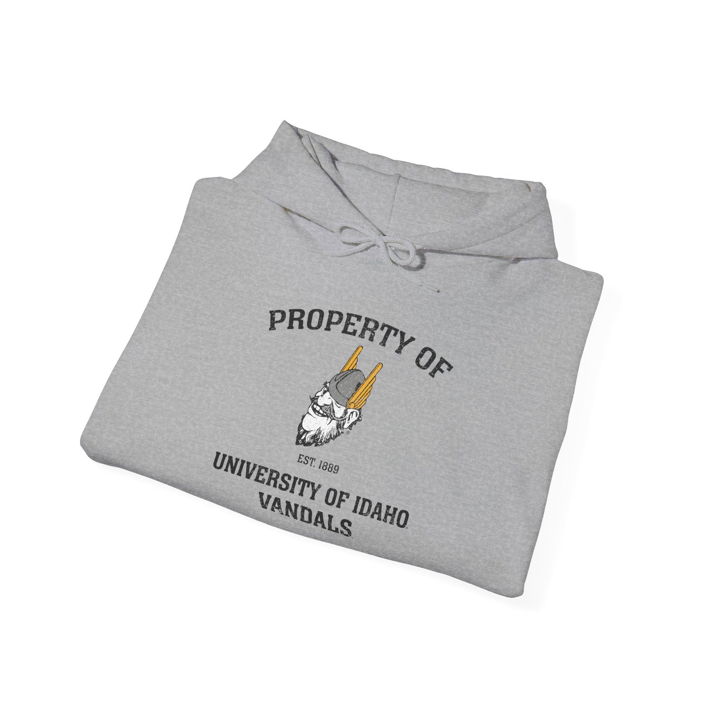 Property Unisex Heavy Blend™ Hooded Sweatshirt