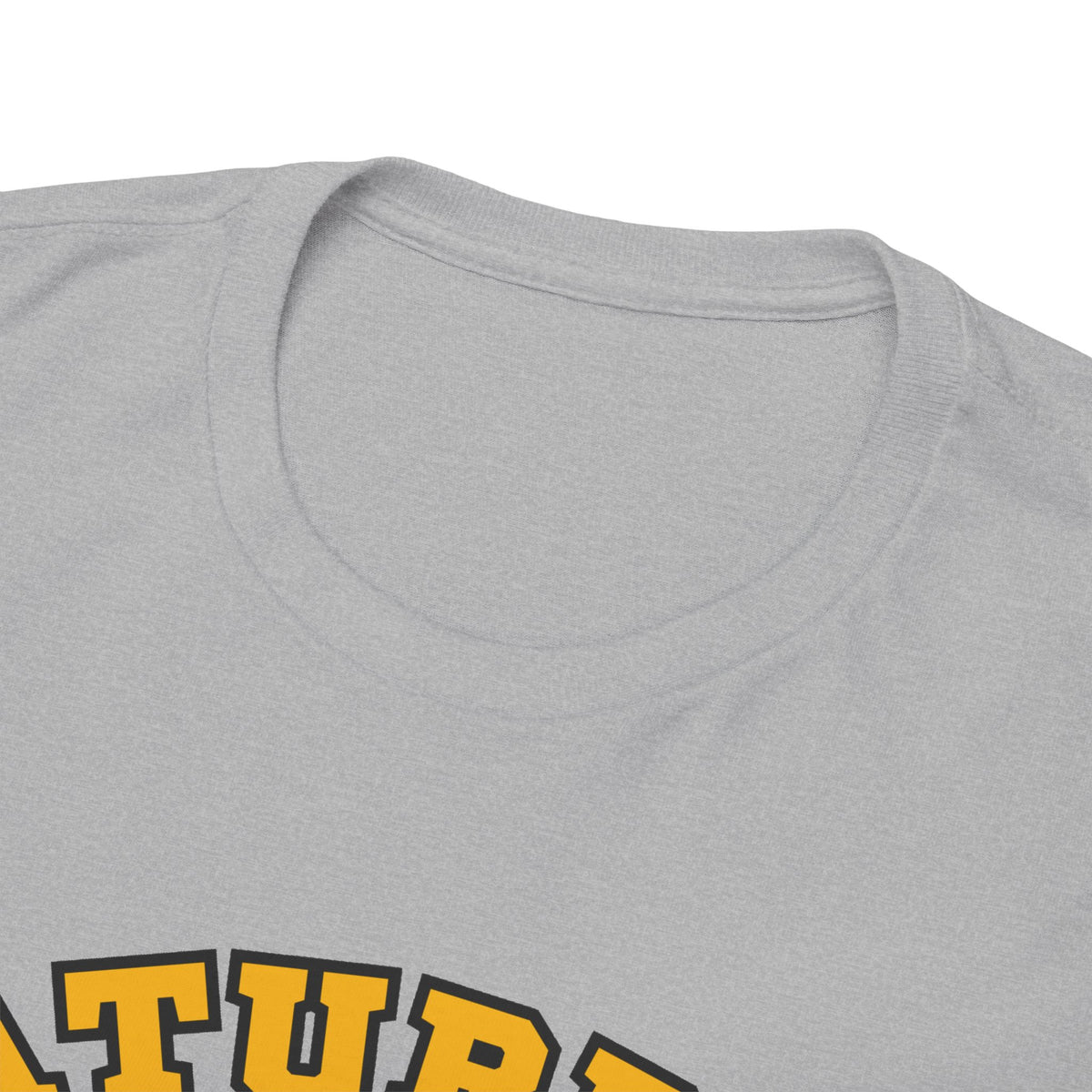 Saturday Game Day T-Shirt | University of Idaho Football Tailgate Tee 2026 | Joe Vandal Fan Shirt