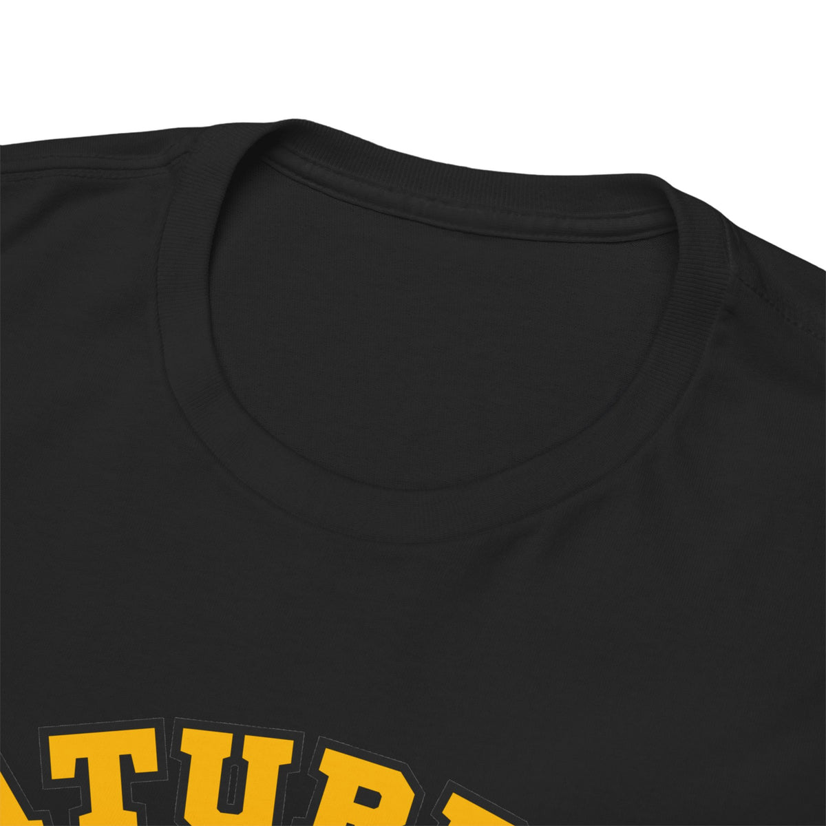 Saturday Game Day T-Shirt | University of Idaho Football Tailgate Tee 2026 | Joe Vandal Fan Shirt