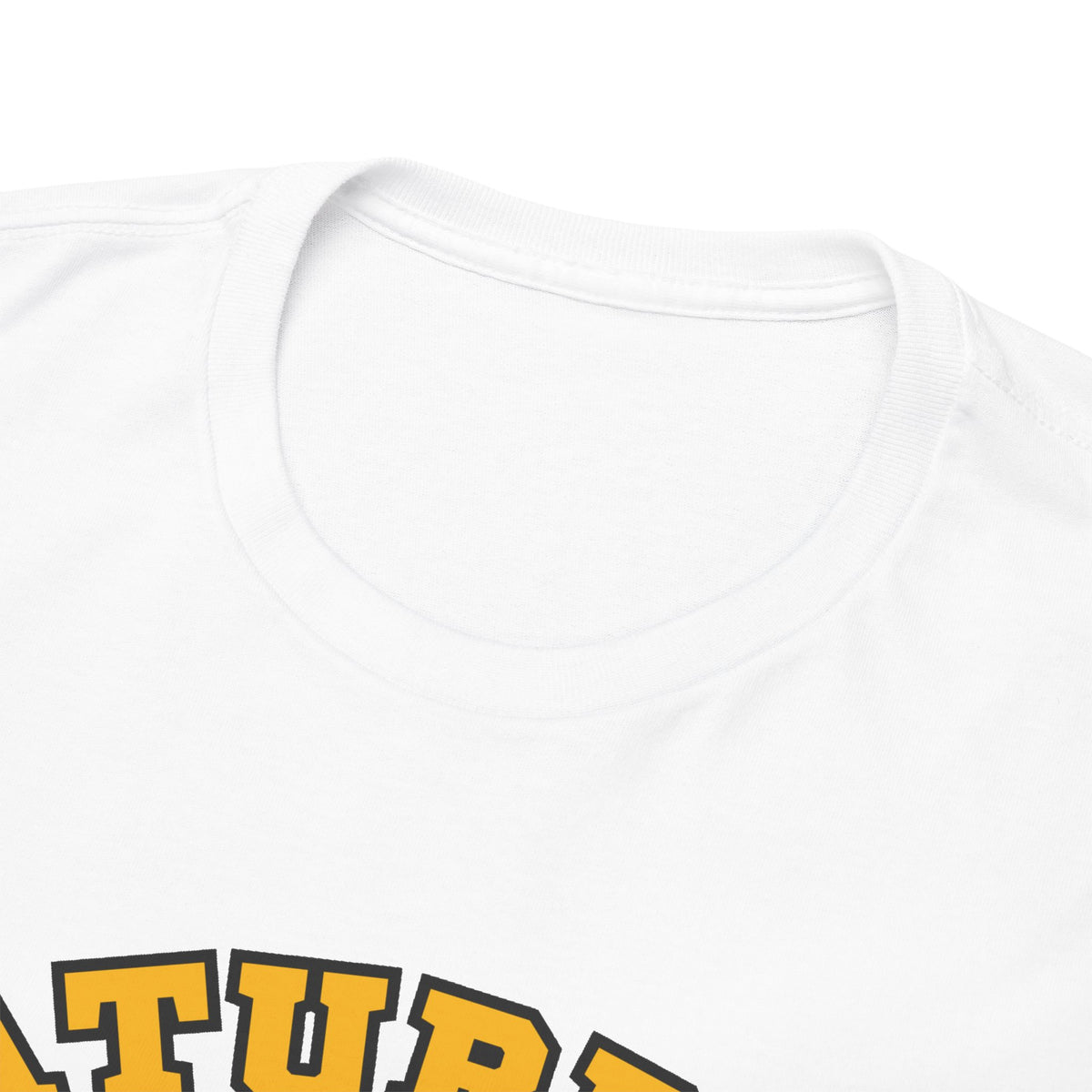 Saturday Game Day T-Shirt | University of Idaho Football Tailgate Tee 2026 | Joe Vandal Fan Shirt