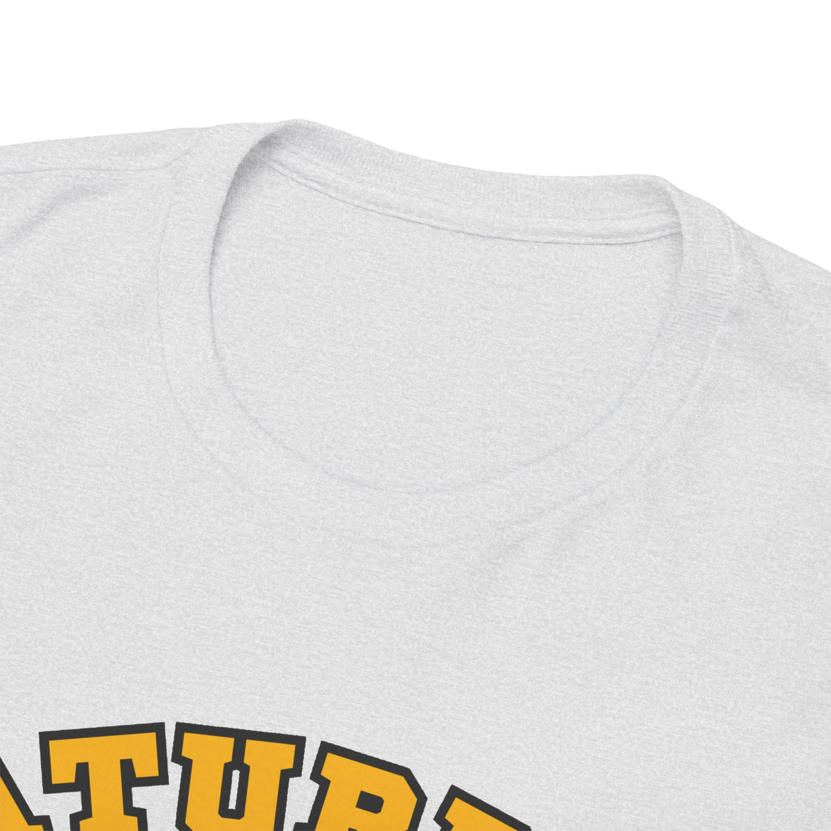 Saturday Game Day T-Shirt | University of Idaho Football Tailgate Tee 2026 | Joe Vandal Fan Shirt